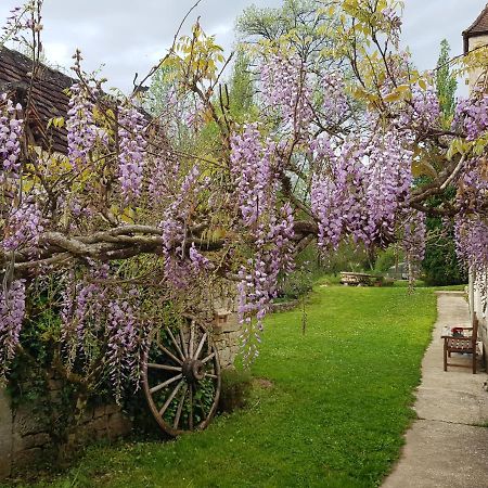 Le Moulin De Jules Et Akasha Bed & Breakfast Murat Dış mekan fotoğraf