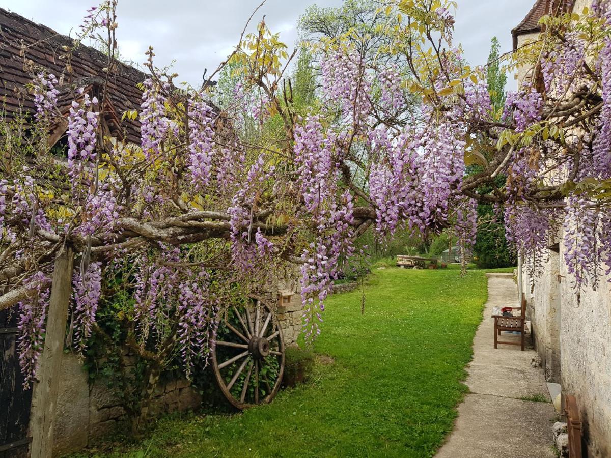 Le Moulin De Jules Et Akasha Bed & Breakfast Murat Dış mekan fotoğraf